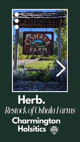 Herb restock at the shop. Do you use any of these? Rue, Blue Vervain, Borage or Blackwalnut Leaves? #herbalism #herbalistsoftiktok #baltimoretiktok #charmingtonholistics 