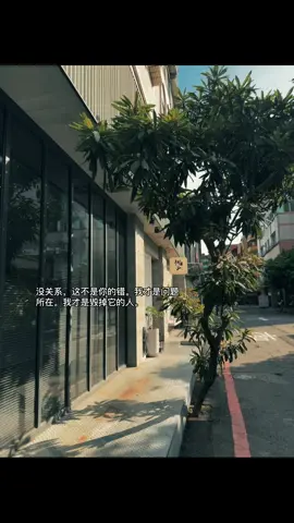 没关系，这不是你的错。我才是问题所在。我才是毁掉它的人。