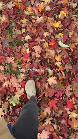 no one prepared me for HOW MAGICAL IT COULD BEEEEE! 