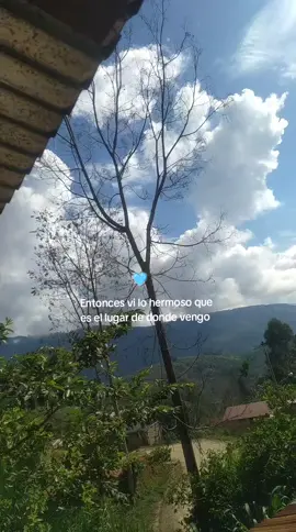 #selvaperuana #fypシ゚ #🌸 🥹