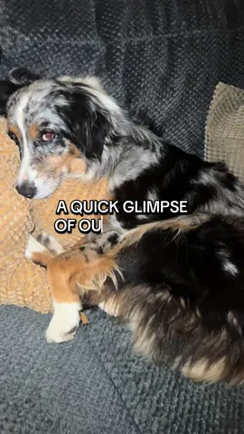 The morning grind! #MomsofTikTok #morningroutine #wisecupcackleshack 