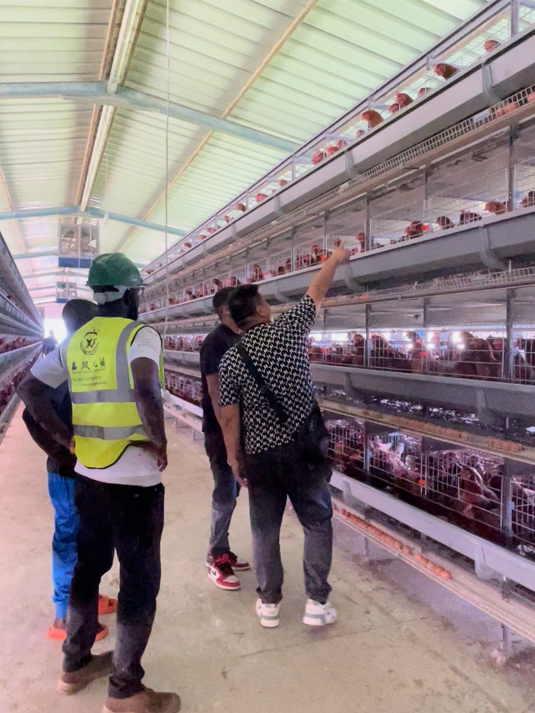visit our customers in Africa. #chickencage #chicken #layercage #factory #poultrycage #eggs #layer #egg #factorywork #installationvideo #manureremoving #installation #ventilation #loading #poultryfarming🐥🐔 #customervisit #customersite