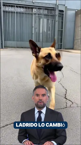 #breakingnews #news #usanews #usa #unitedstates 