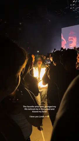 #lorde #vibe #music #fyp #ultrasoundtour 