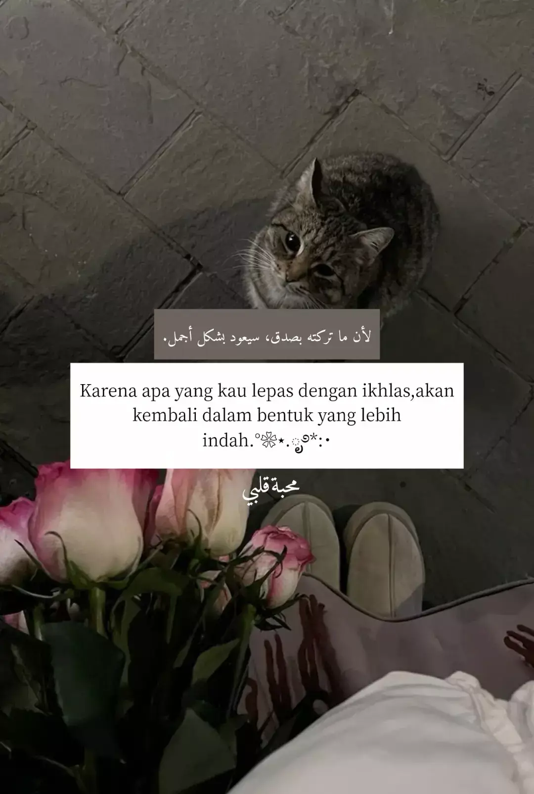 #qoutesarabic #syairarab #arabicsong #4u #fyppp 