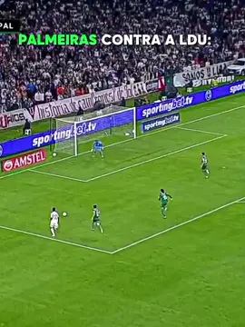 PALMEIRAS CONTRA A LDU!!🤣🔥 #flamengo #ldu #palmeiras #libertadores #eliminado 
