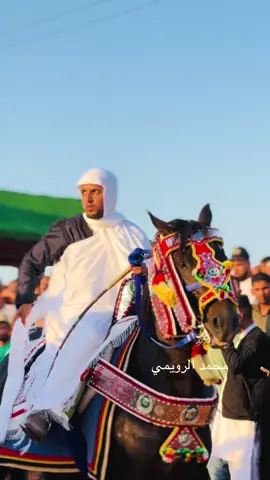 #خيل_وخياله🐎 #محمد_الرويمي 