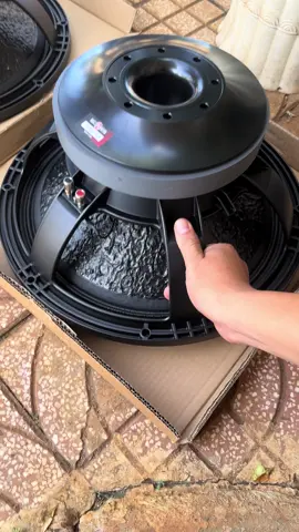 Bass rời 5 tấc. B&C China😍 #củbassroi #cubass #sub