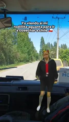 🤣  #MemeCut #CapCut #chile  #cosechas #temporerosbolivianos🇧🇴🇨🇱 