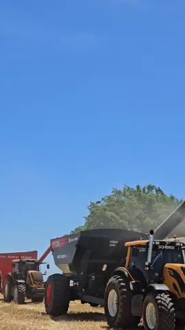 esse marca presença 