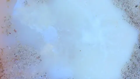 Hey, look how good this mash  is working off