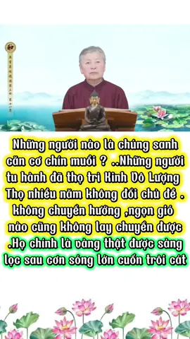 Kinh Vô Lượng Thọ giảng lần 3 tập 11_ Cô Lưu Tố Vân giảng