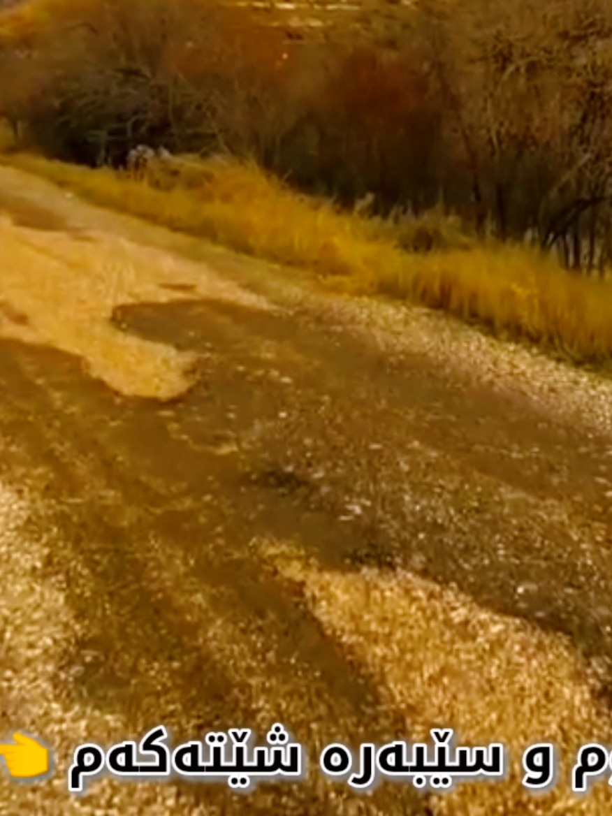 نەتۆ ئەتوانی کەسێک بدۆزیتەوە هێندەی من خۆشی بووێی ,  نەمنیش کەسێک ئەدۆزمەوە هێندەی تۆ خۆشم بوێت 🖤💔 . #dyariarahman  #في هذا اليوم 