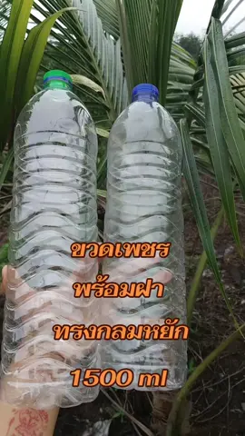#ขวดpet #ขวด #ขวดเพชร #แม่ค้าออนไลน์ #ขายดีมาก 