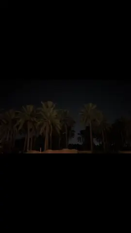 #محمد_بن_فطيس 