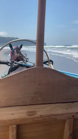 Memayu Hayuning Bawana,Ambrasta Dur Angkara #fyp #beranda #pantaiselatan #jogja24jam #xybcafyp 