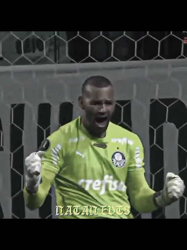 Weverton💚🤍🥺 #futebol #palmeiras #weverton 