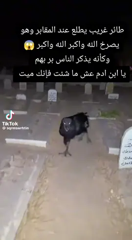 الله اكبر 