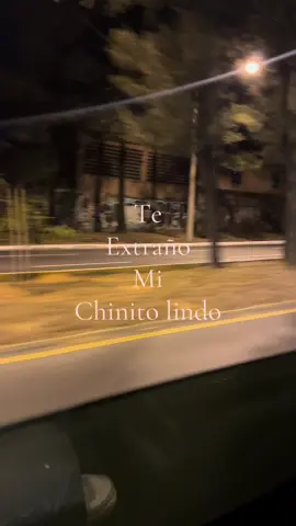 #chinito #miflaco #teextraño mi Chinito lindo…