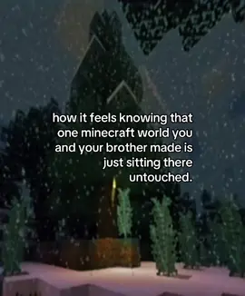 #Minecraft #nostalgic #minecraftworld #brother #fyp 