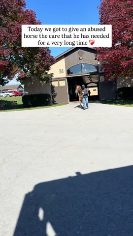 I have some great news! Gunner came home today after having not one but two feet undergo surgery to cut out his canker infection.  We have a ton of aftercare to do for him but we are more than happy to do it. He deserves it. This should have never happened to him. His infection was so bad and has gone on so long his bone was being eaten away.  I am incredibly grateful we were able to do this for him when we did because if he has no bone left, there’s nothing we could have done. The cruelty case is still ongoing and we don’t have any answers yet but regardless I am glad this was done for him. I cannot fathom anyone would let all of the poor horses go back to such an awful place 🙏🏻😭 Thank you all for rooting for him! He went from having no one in his corner, to now all of you ❤️‍🩹 If you’d like to support Gunner and all the animals here at FLF you can donate on: 🐴 PayPal- Foreverlandfarm@gmail.com 🐴 Venmo- @foreverlandfarm  🐴 Zelle- foreverlandfarm@gmail.com . . . . . . #animalsanctuary #fortheanimals #sanctuary #animalrescue #savedfromslaughter        