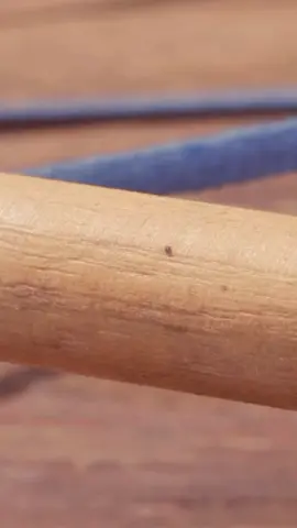 #motivacionalvideo #motivacionales 