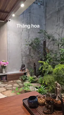 #mygauhouse #nhadep #relax #chaomao #xuhuong 