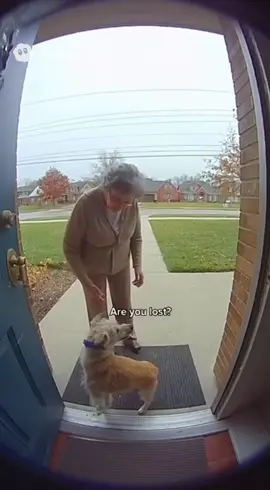 Hey little buddy 🤣🤣 #fyp #sora #soraai #dog 