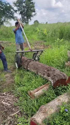 🪵🪵🪵⁉️#chokienthuc #fyp #tools #DIY #xuhuongtiktok 