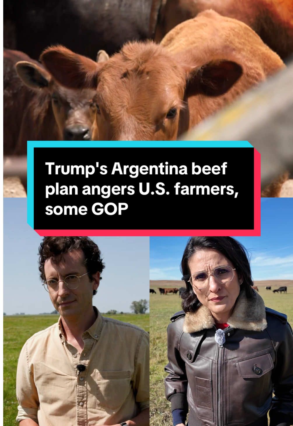 American cattle ranchers and agricultural groups are voicing strong opposition to President Trump’s plan to increase beef imports from Argentina as a way to lower beef prices in the U.S. MSNBC Correspondent Rosa Flores spoke with cattle ranchers in Nebraska and MSNBC Correspondent David Noriega reports from a ranch in Argentina. Click the link to read more. #argentina #nebraska #beef 