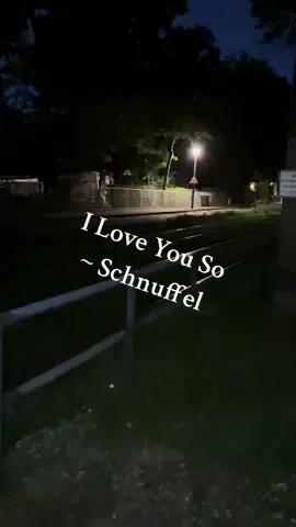 I Love You So ~ Schnuffel            #iloveyouso #schnuffel #spotify #viral #songs 