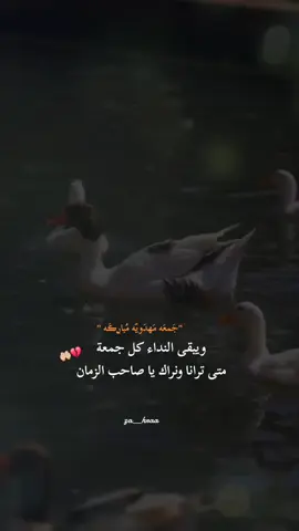 جَمعَه مَهدَويّه مُباࢪڪَه🫀 #العجل_يامهدي🤍 #اكسبلورexplore 