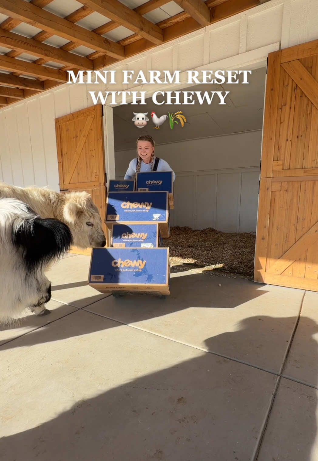 Mini farm reset & restock with @Chewy 🐮🐓🌾 Everything our farm needs, all in one place. Chewy makes caring for our animals easy with fast delivery, Autoship that remembers for you, and free shipping on orders over $49. #chewypartner #farm #reset 