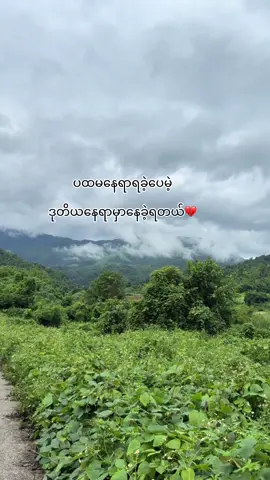 💔💔💔@🌸 NYAYOON 🌸 #nyayoon 