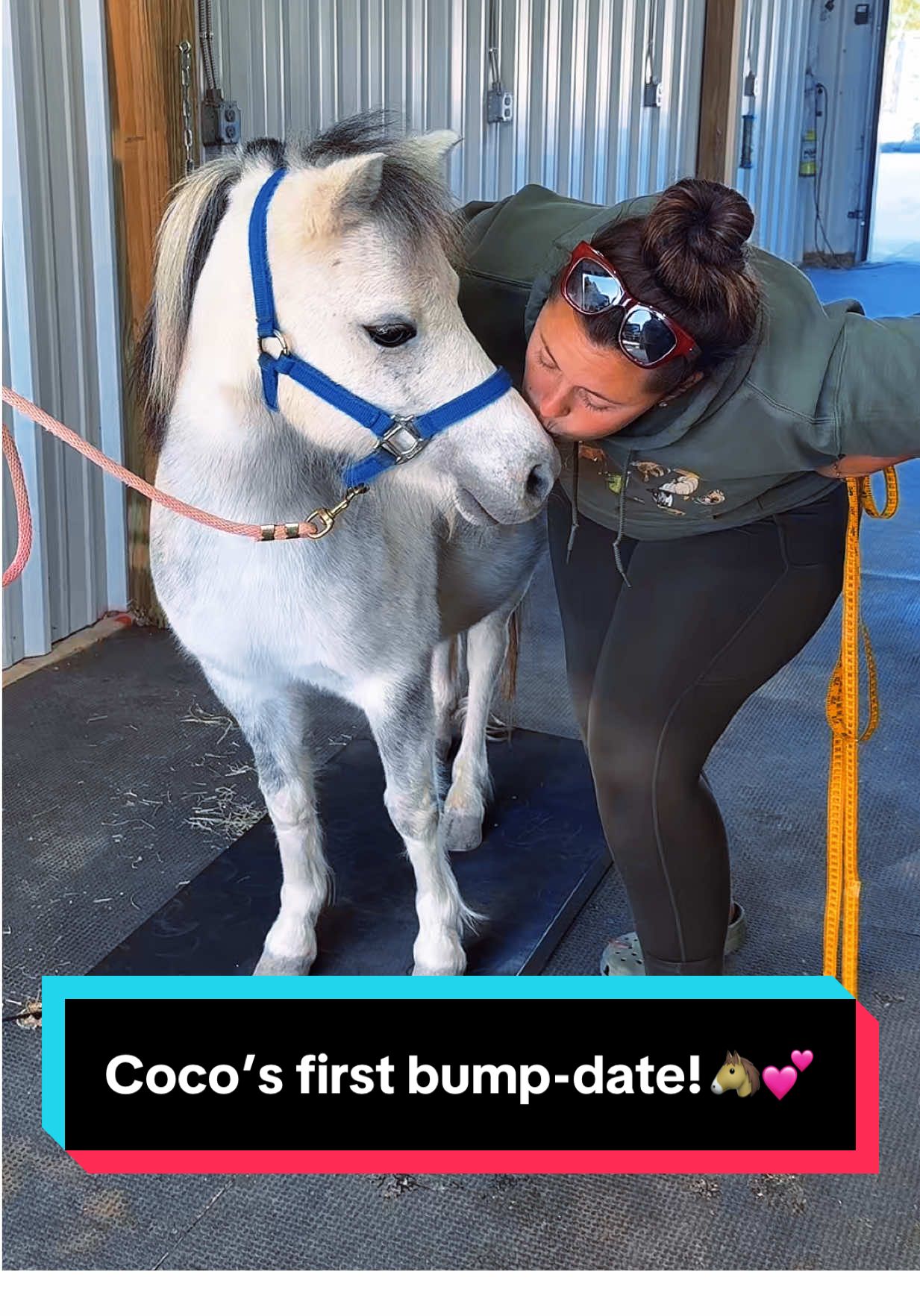 Coco’s first bump-date!🐴💕 #minimare #minifoal #bumpdate #minihorsesoftiktok 