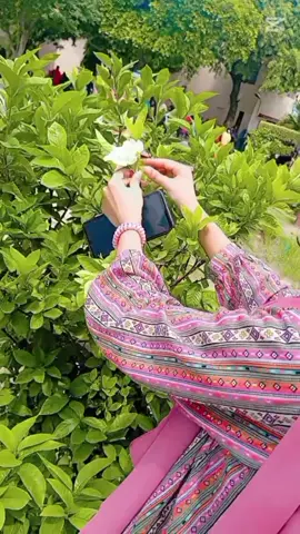 H sila tu mere drd ka😭💕(THE URGE) #for you#for you page #tulips#viral song#trending