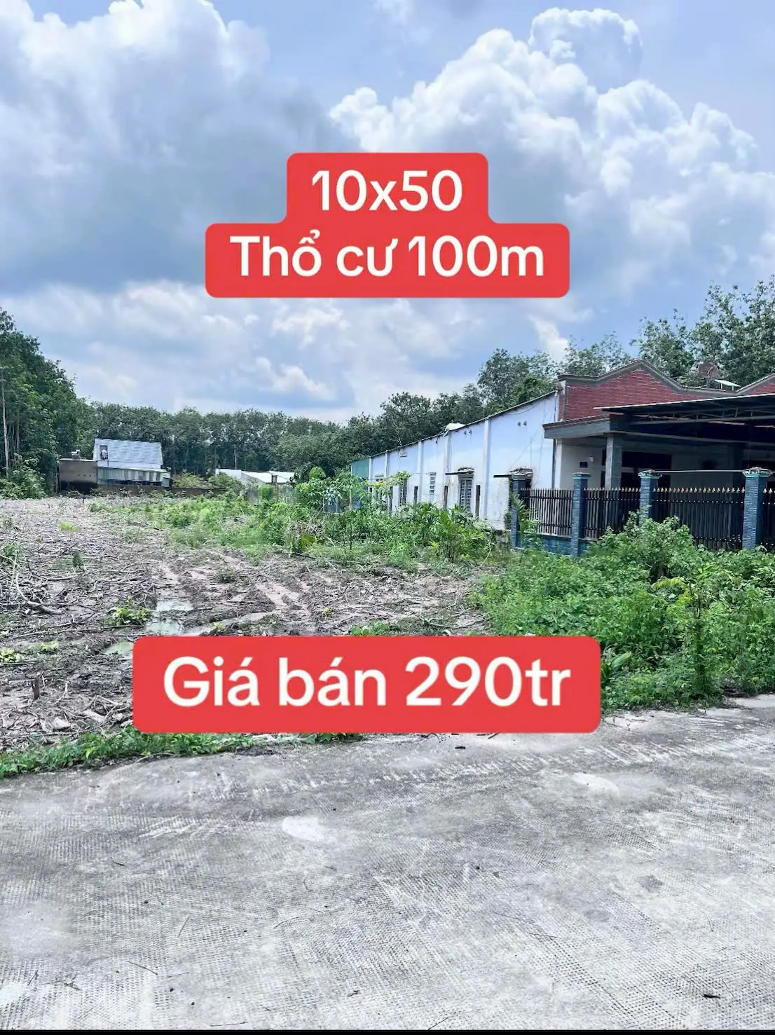 #xuhuong #xuhuongtiktok #thinhhanh #date #chonthanhbinhphuoc 