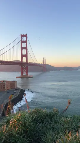 the bay #goldengatebridge#sanfrancisco#views#bayarea#travelbucketlist 