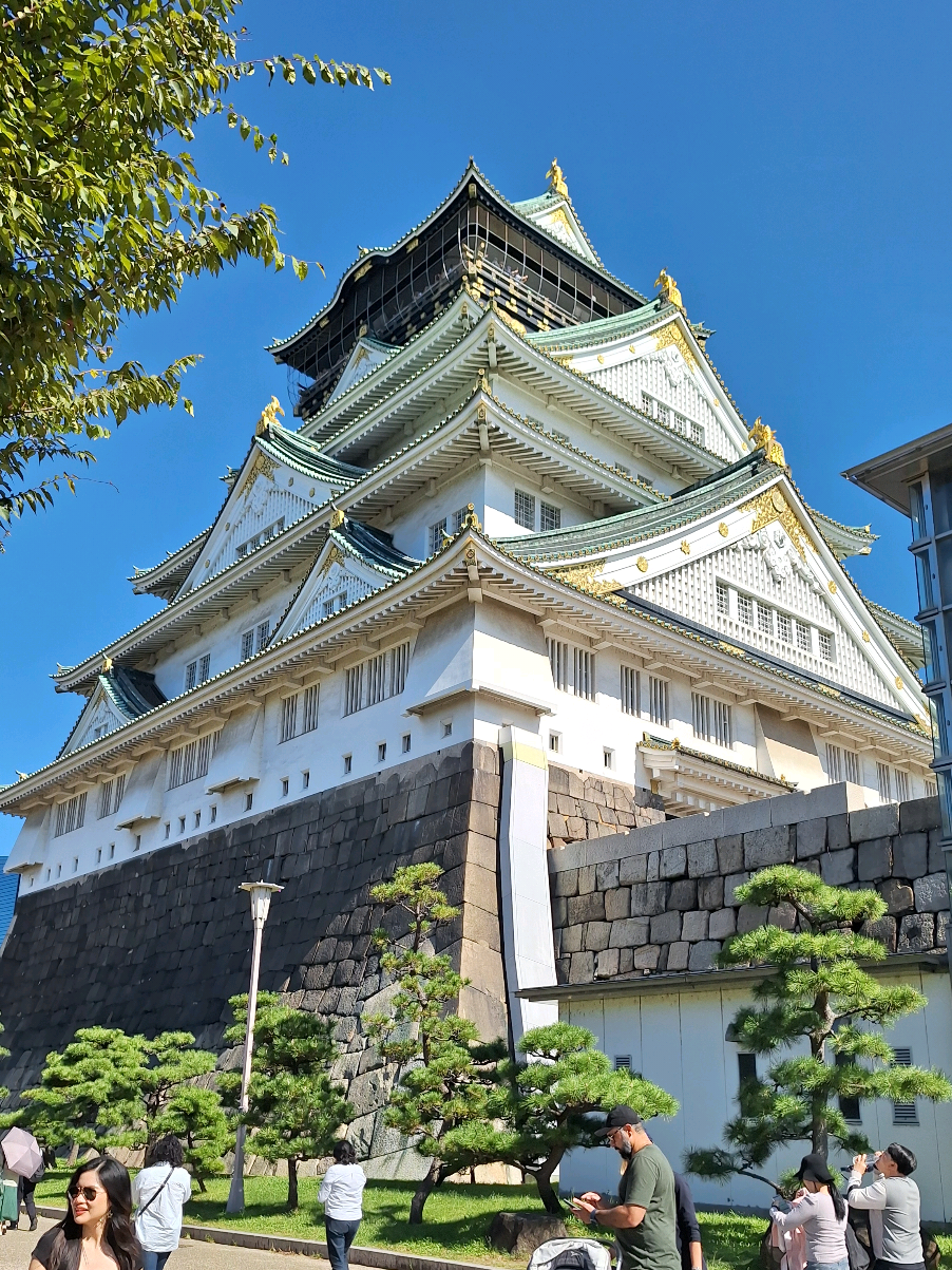 Osaka Castle - can you walk there? Yes. Pretty much 20 minutes from our hotel. #osaka  #Japan  #travel 