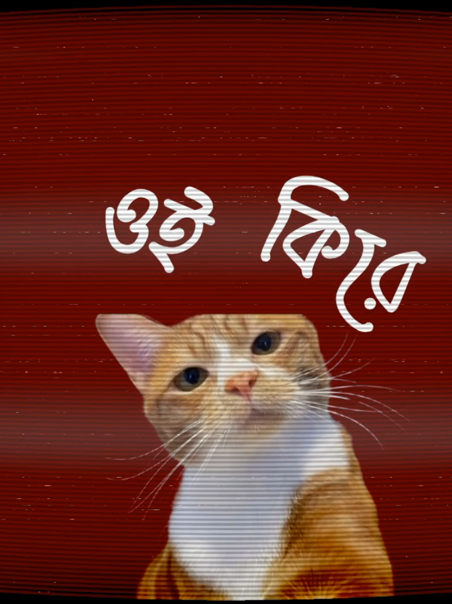 oi kireeeee 😒 #LyricsLines1 #fyp #foryou #foryoupage #trending @TikTok Bangladesh 