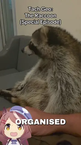 #umamusume #umamusumeprettyderby #ウマ娘 