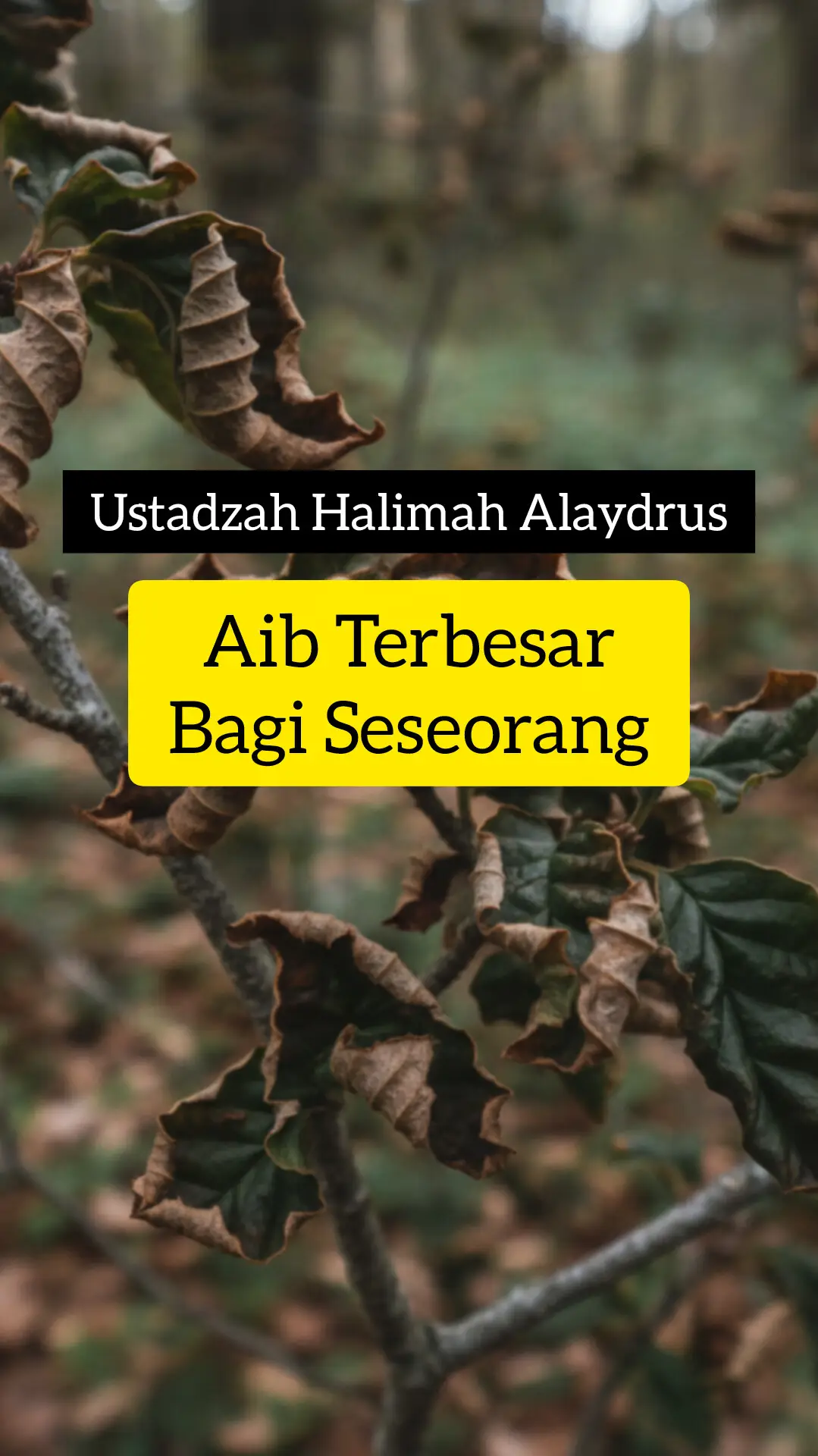 #ustadzahhalimahalaydrus❤️ 