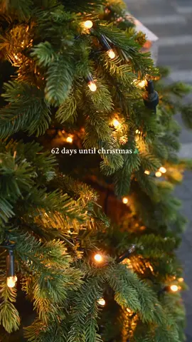 62 dayss untill. who's ready for this?🎄🎅🏻❄️⛄️✨ #christmas #xmas #christmasvibes #christmastiktok #fypchristmas 