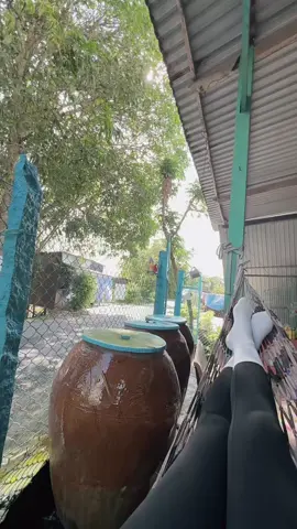 Về An Giang với em hong???? #mientay #angiang 