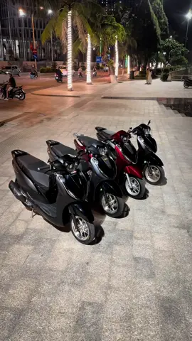 Lead Nha Trang nì 🌷#lead #lead125 #honda 