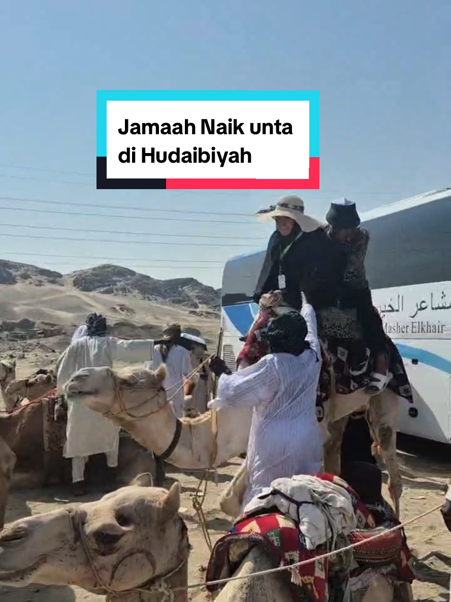 Jamaah Umrah 19 Oktober ke Hudaibiyah  Kesempatan Naik unta 🥰❤️ #promoumrah #umrah2025🕋❤️ #umrahmemories  @ABI MUDA TEUKU RIZKI RAMADHAN 