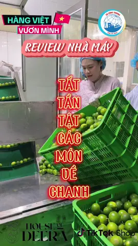 review nhà máy sản xuất chanh #phuongoanhdaily #HangVietVuonMinh #TuHaoHangViet 