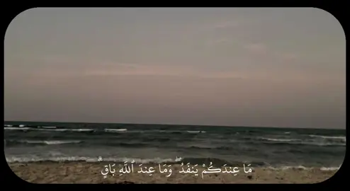 #CapCut #تلاوة_خاشعة #عبدالولي_الاركاني #ارح_سمعك_بالقران #اجر_لي_ولكم_ولوالدينا_وللمسلمين 