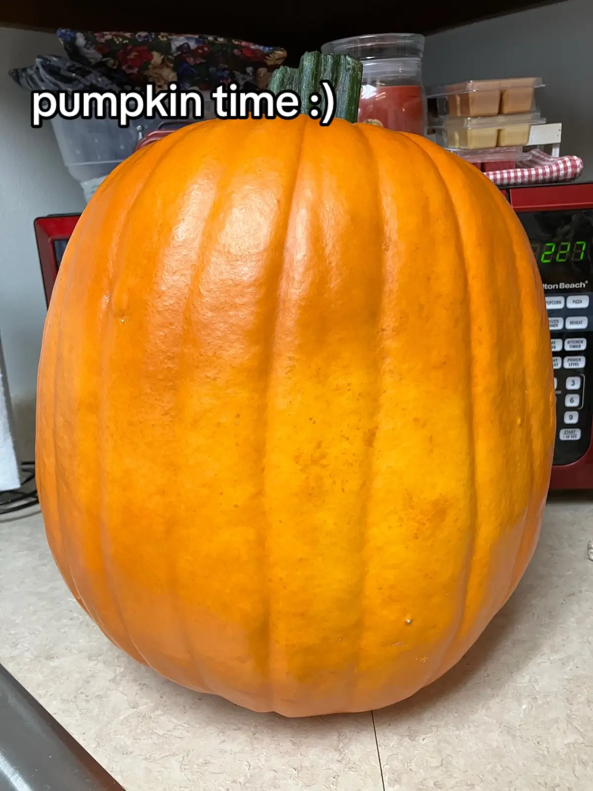 silksong pumpkin :) i spent far too long on this lmao #silksong #hollowknight sorry its all images i always forget to record my process when i carve pumpkins lol