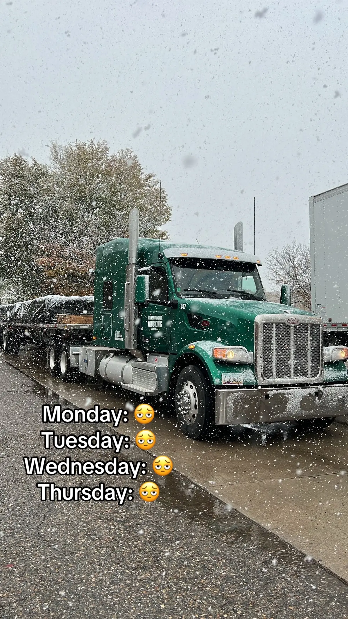 #fyp #truckerlife #Love #trending 
